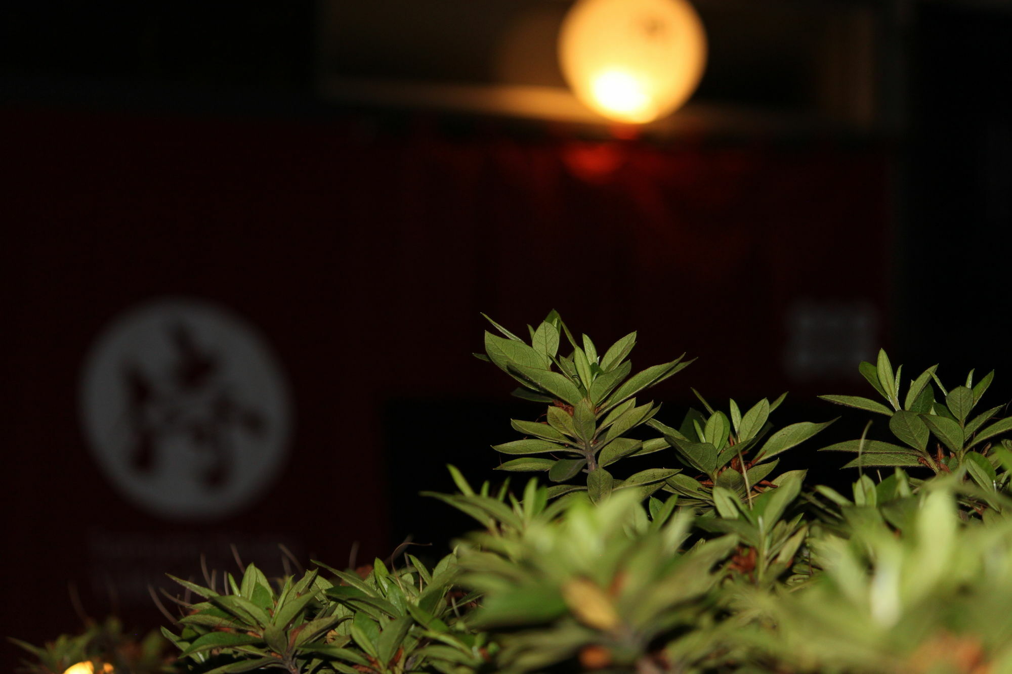 Samurai House Yukimura 東京都 エクステリア 写真